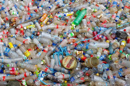 Plastic Bottles